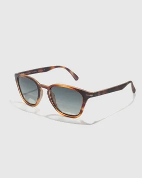 Andiamo Sunglasses - Tortoise Forest