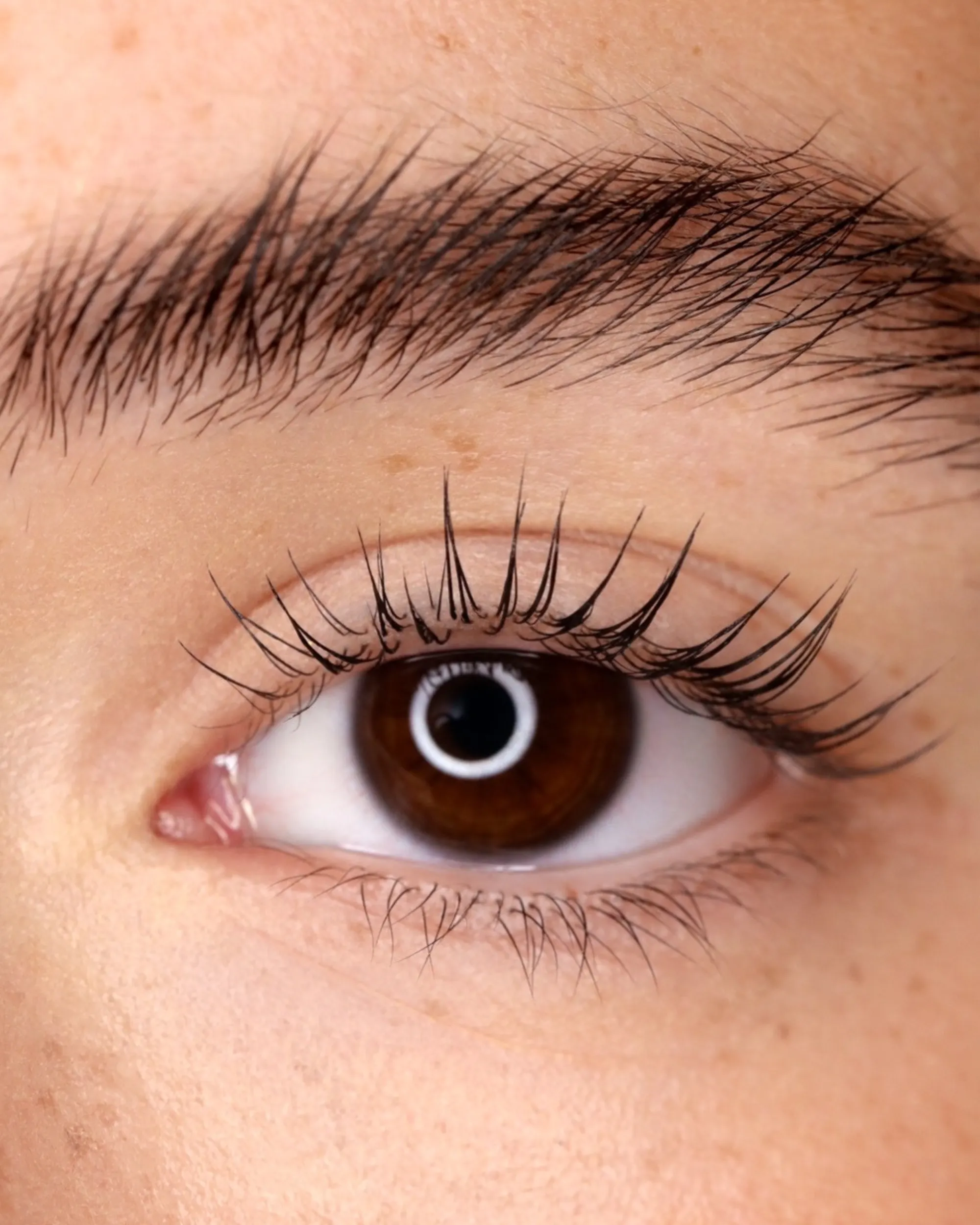 Lash Lift Solutions